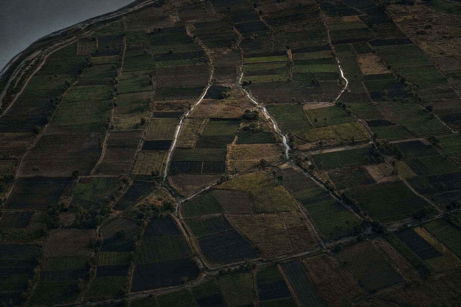 Vue aérienne d'une mosaïque de parcelles agricoles irriguées au crépuscule