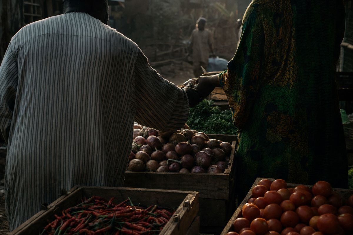 Caisses d'oignons, de piments et de tomates fraîchement récoltés sur un marché rural à l'aube